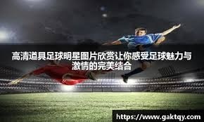 中超-莱昂纳多进球古斯塔沃破门 海港主场胜海牛